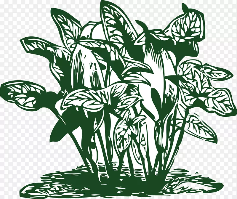 热带植物剪贴画-热带植物