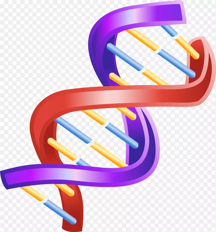 核酸双螺旋：DNA剪贴画结构发现的个人记述