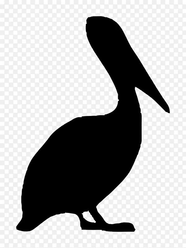 鸟类棕色鹈鹕剪贴画-动物轮廓