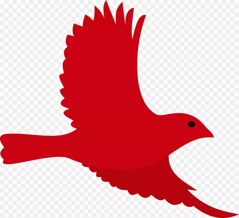 罗布洛鸟喙猫头鹰-粉红色鸟