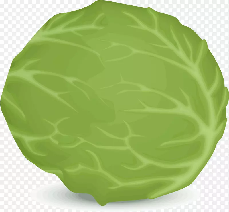 绿叶蔬菜莴苣食品-卷心菜