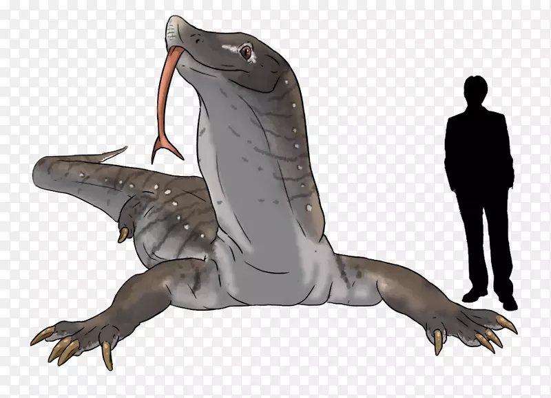 推测进化爬行动物头盖骨描绘鲤鱼-进化
