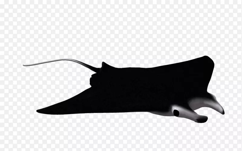巨型海洋螳螂射线魔鬼鱼蝙蝠类剪贴画