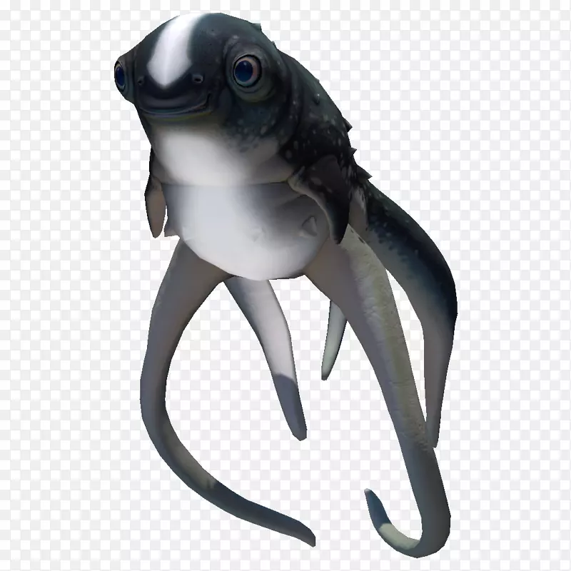 海底画Youtube利维坦-幼鲨
