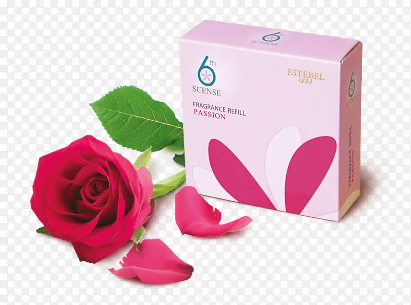 花园玫瑰，香水，芳香化合物，气味-芳香疗法