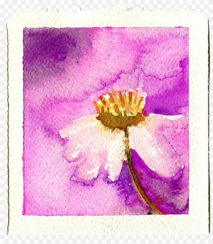 水彩画紫丁香