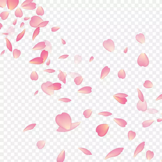 樱花开我的樱花