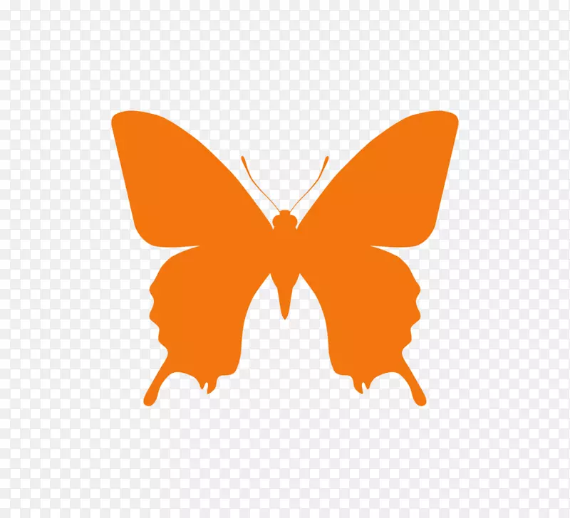 蝴蝶电脑图标蝴蝶小指南-红色蝴蝶