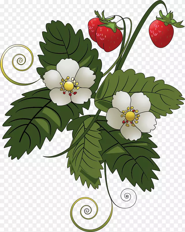 草莓派水果夹艺术-花卉藤
