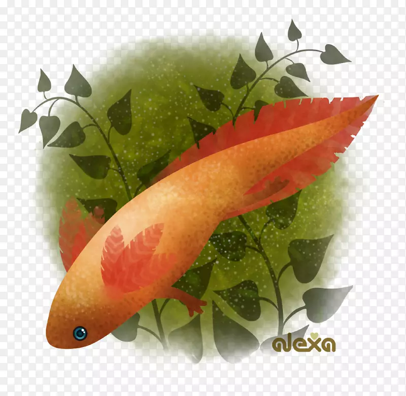 装饰蔬菜水果鱼-死鱼