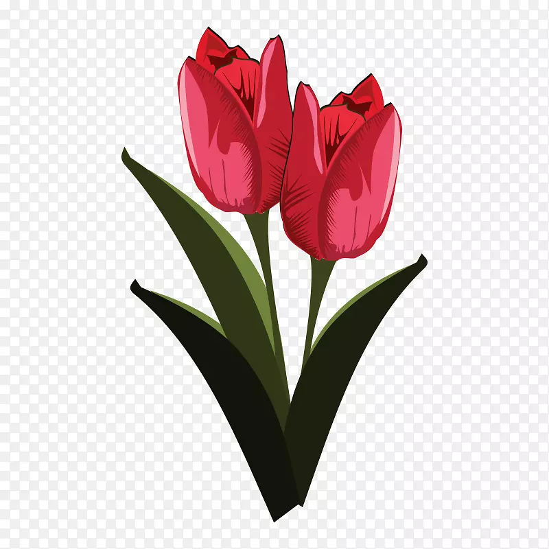 郁金香花夹艺术-郁金香