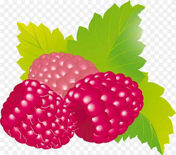 覆盆子果草莓覆盆子