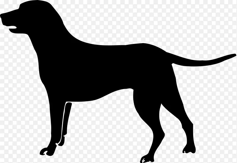 拉布拉多猎犬运动团体剪贴画黑白相间