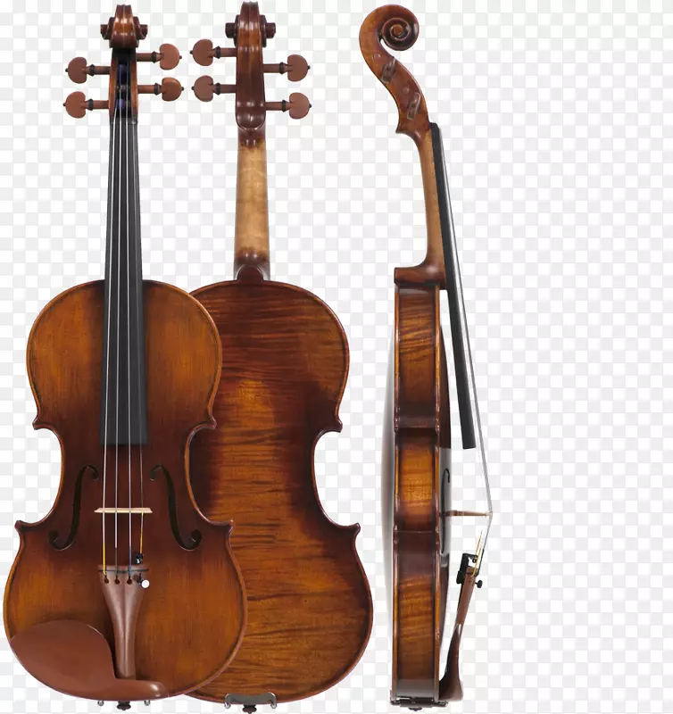 小提琴家族斯特拉迪瓦里乐器大提琴小提琴