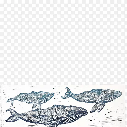 海洋海豚风浪画鲸鱼
