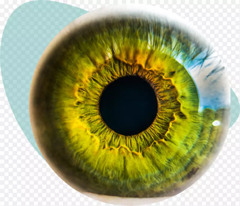 眼科手术，眼损伤，圆锥角膜-眼球