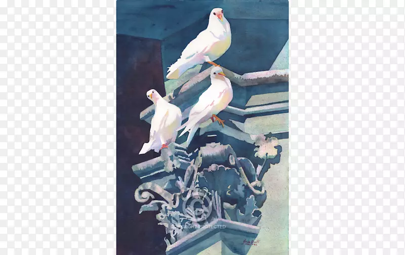 艺术水彩画安妮abc水彩雕塑-鸟水彩