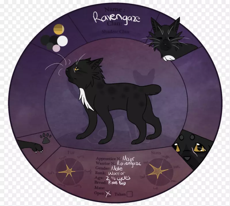 猫科紫罗兰食肉动物-影子战士
