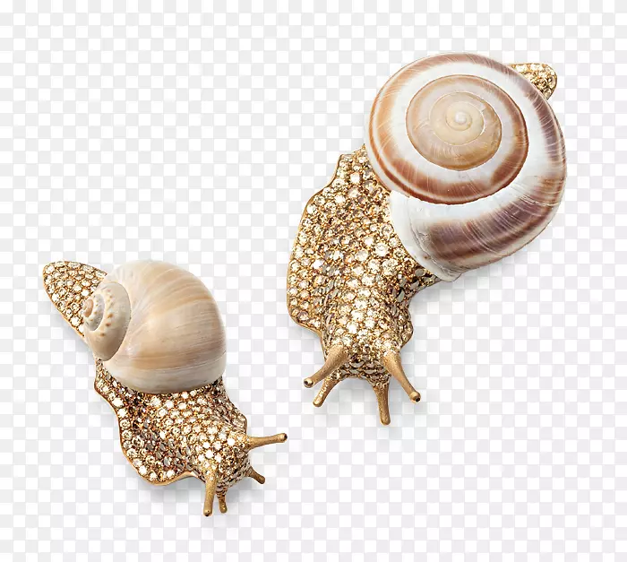 珠宝胸针耳环钻石销蜗牛