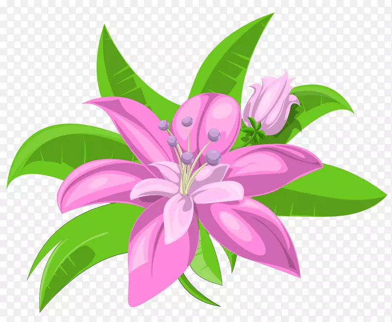 粉红花卉绘画剪贴画-粉红色花卉