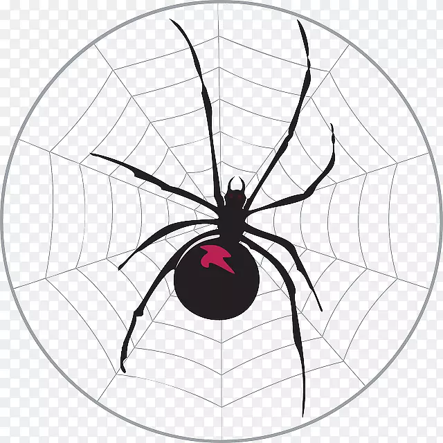 工作表加法数学-蜘蛛网