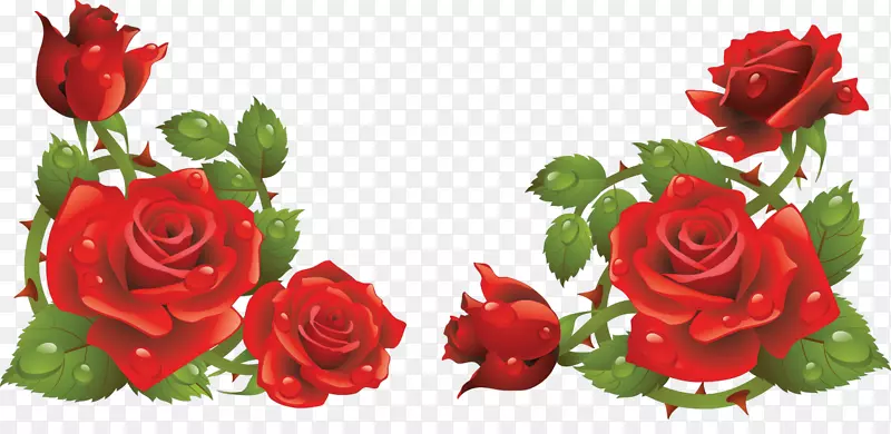 玫瑰花设计插花艺术-玫瑰花