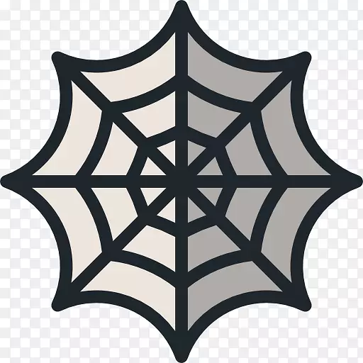 蜘蛛网蜘蛛及其网夹艺术蜘蛛网