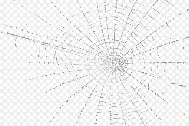 单色摄影黑白蜘蛛网