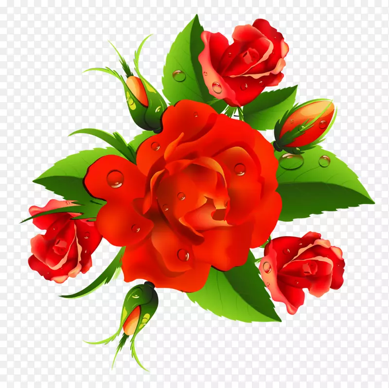 国际妇女节妇女幸福三月八日可以照片-玫瑰
