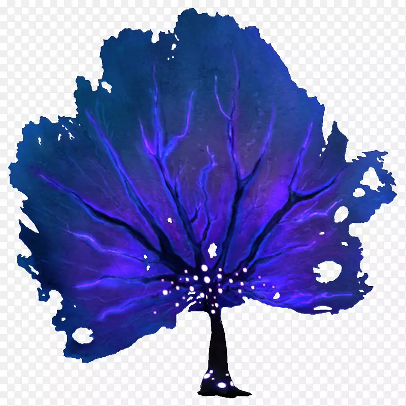 亚诺紫罗兰蓝植物-植物区系