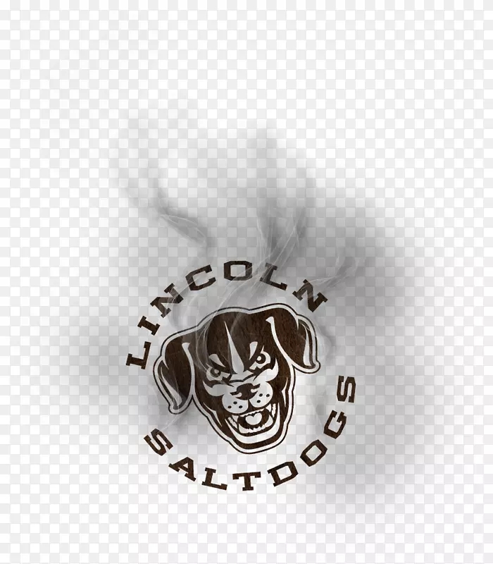 林肯热狗烧烤排骨拉猪肉标志-烟熏