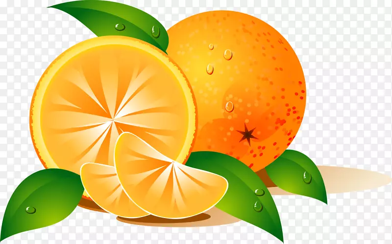 橙色桌面壁纸水果夹艺术-橙色