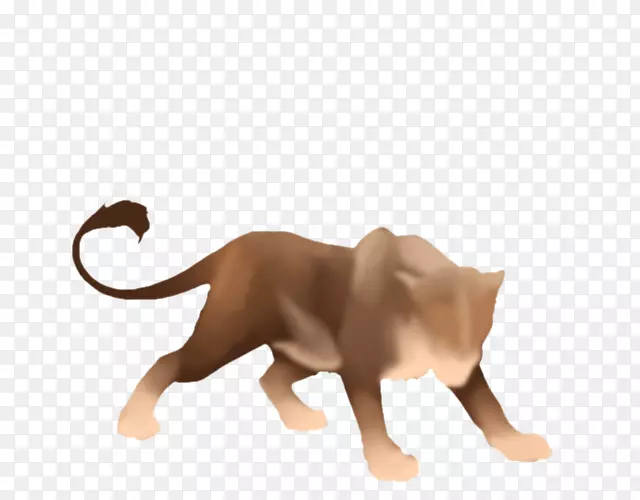 猫科狮子美洲狮黑豹猫-舞狮