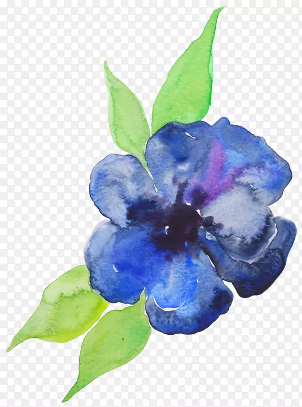 蓝色水彩画紫罗兰紫色水彩花
