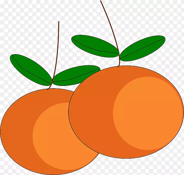 橘子橙汁夹艺术.橘子