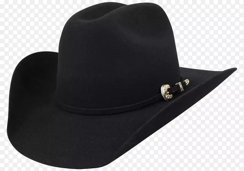 Stetson牛仔帽草帽牛仔