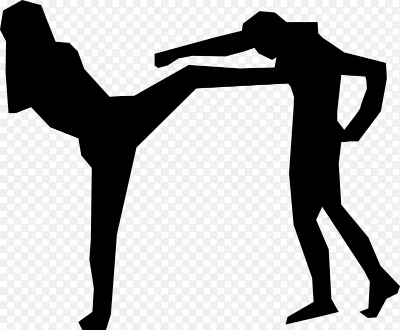 泰拳空手道-混合武术艺术家