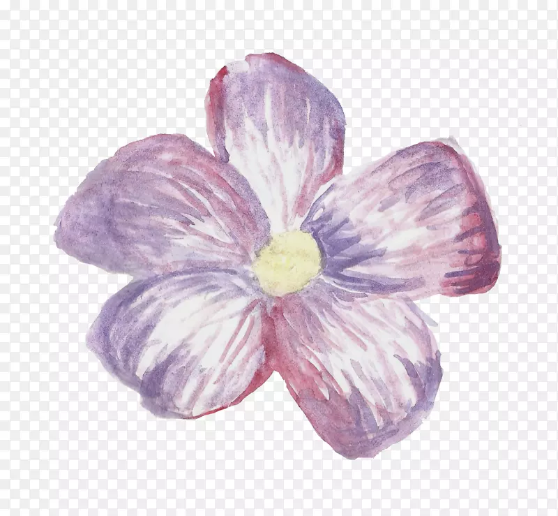花卉贴纸玫瑰紫色剪贴画水彩画植物