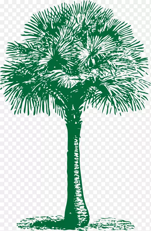 槟榔科亚洲棕榈树