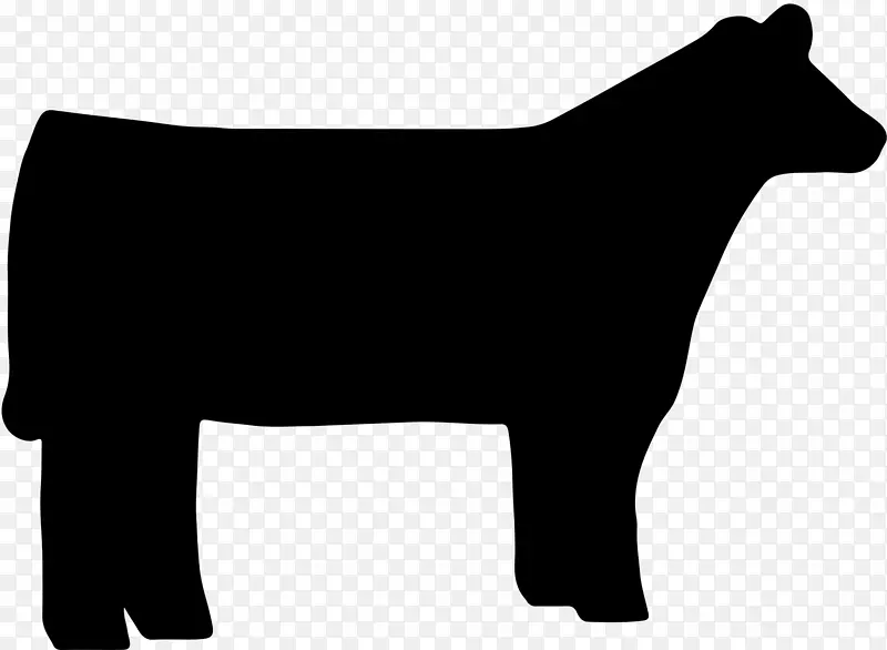 得克萨斯州长角短穗牛，安格斯牛，牲畜展示-动物轮廓