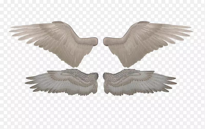鸟翼羽毛制品公司鹅翅