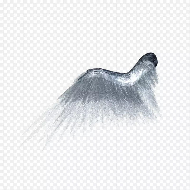 翅膀蝴蝶-翅膀
