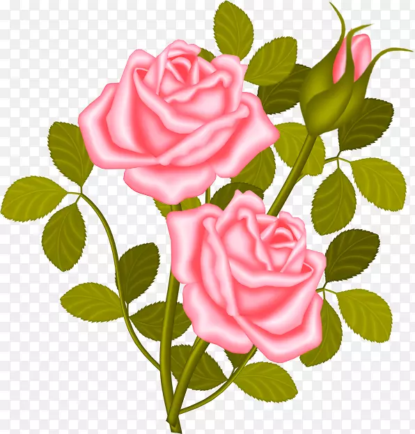 玫瑰灌木植物剪贴画-刚结婚
