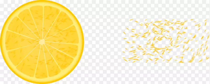 橙汁柑桔片