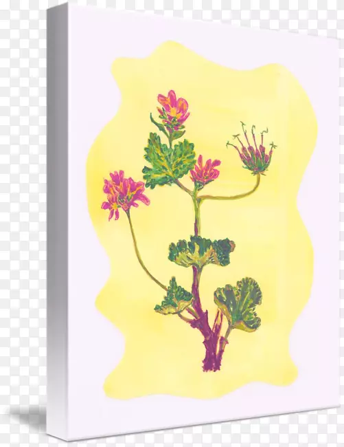 芳香疗法花卉国际芳香治疗师联合会花卉设计替代保健服务-Rose Leslie