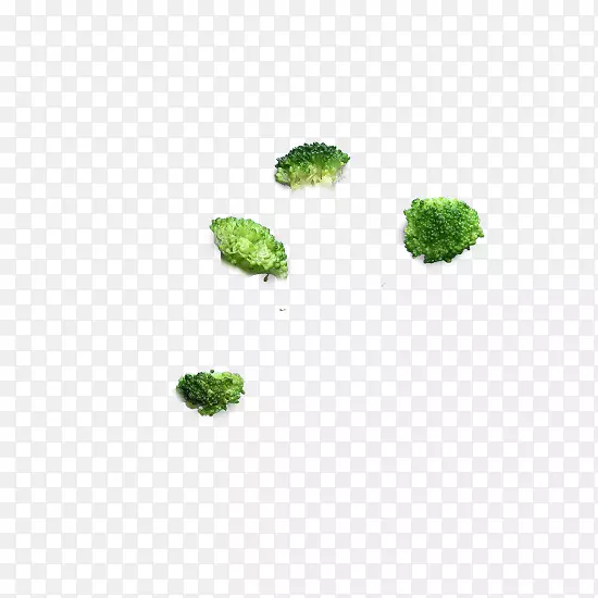 有机体树-花椰菜