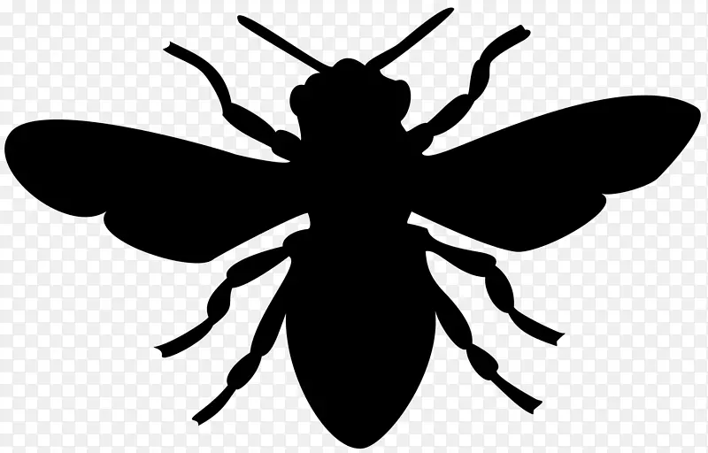 欧洲黑蜜蜂剪贴画-蜜蜂