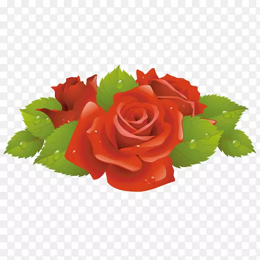 玫瑰花夹艺术-红玫瑰装饰