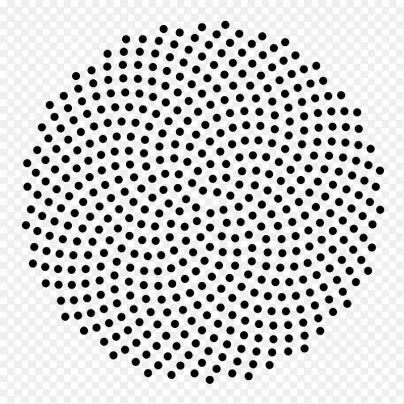 Fibonacci数，普通向日葵叶，费马螺旋向日葵叶