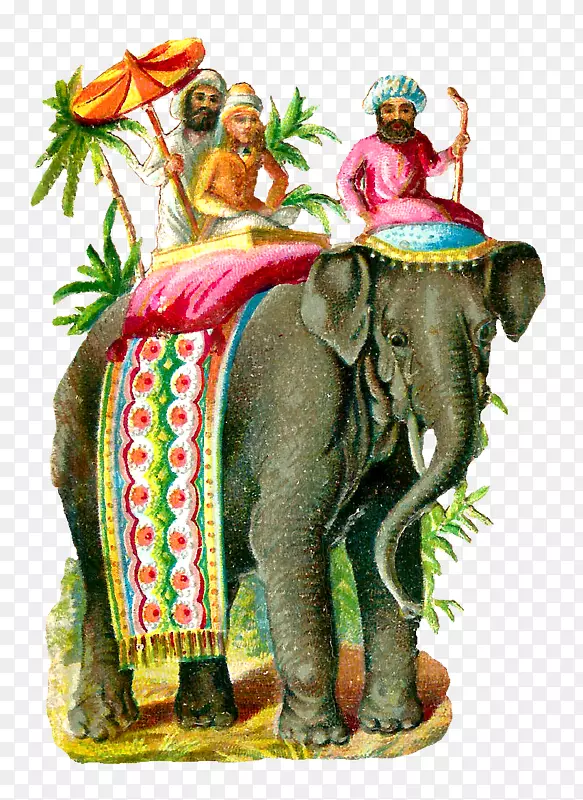 印度象非洲象东方象